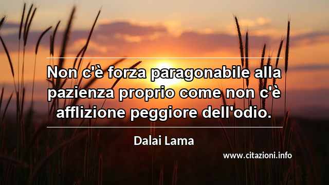 “Non c'è forza paragonabile alla pazienza proprio come non c'è afflizione peggiore dell'odio.”