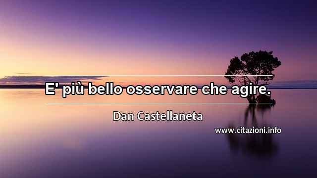 “E' più bello osservare che agire.”