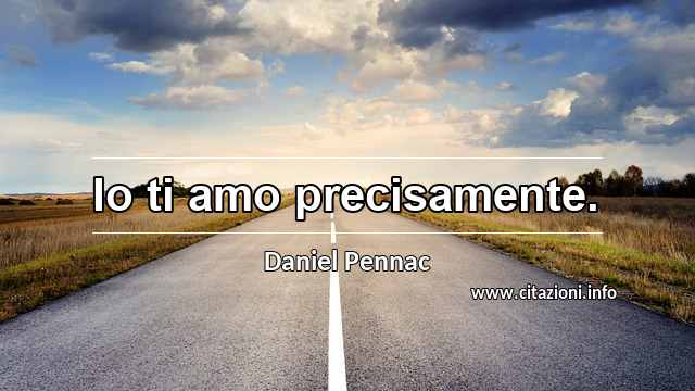“Io ti amo precisamente.”