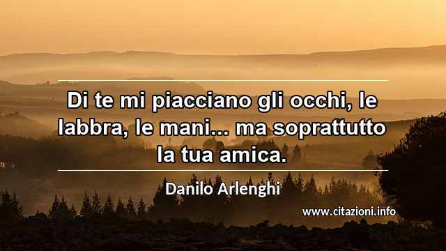 “Di te mi piacciano gli occhi, le labbra, le mani... ma soprattutto la tua amica.”