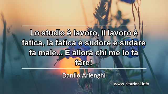 “Lo studio è lavoro, il lavoro è fatica, la fatica è sudore e sudare fa male... E allora chi me lo fa fare!”