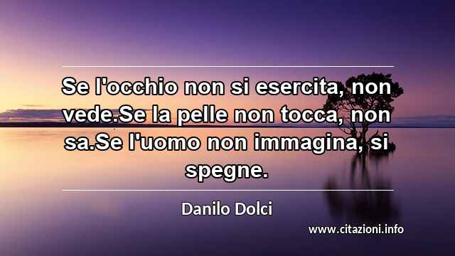“Se l'occhio non si esercita, non vede.Se la pelle non tocca, non sa.Se l'uomo non immagina, si spegne.”