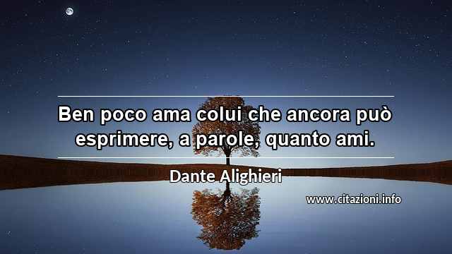 “Ben poco ama colui che ancora può esprimere, a parole, quanto ami.”