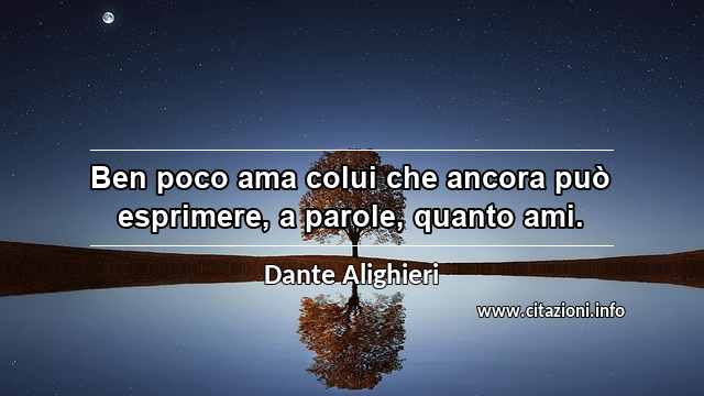 “Ben poco ama colui che ancora può esprimere, a parole, quanto ami.”