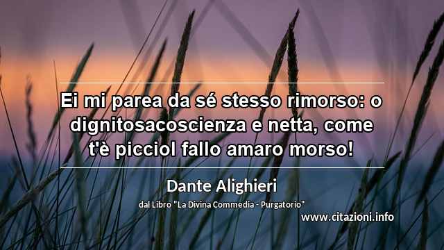 “Ei mi parea da sé stesso rimorso: o dignitosacoscienza e netta, come t'è picciol fallo amaro morso!”