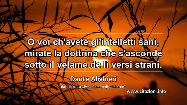 “O voi ch'avete gl'intelletti sani, mirate la dottrina che s'asconde sotto il velame de li versi strani.”