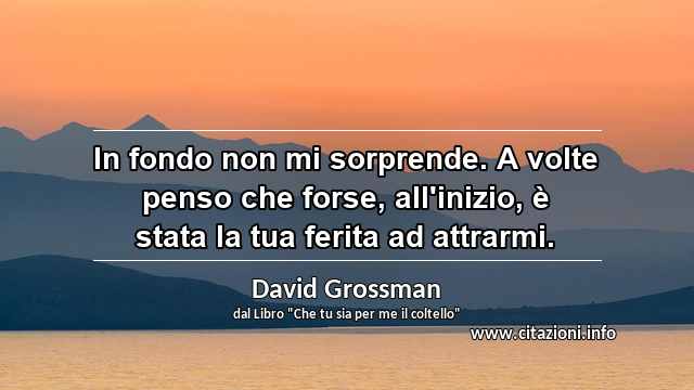 “In fondo non mi sorprende. A volte penso che forse, all'inizio, è stata la tua ferita ad attrarmi.”