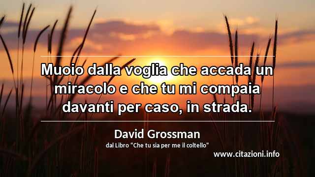 “Muoio dalla voglia che accada un miracolo e che tu mi compaia davanti per caso, in strada.”