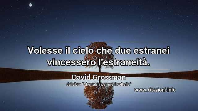 “Volesse il cielo che due estranei vincessero l'estraneità.”