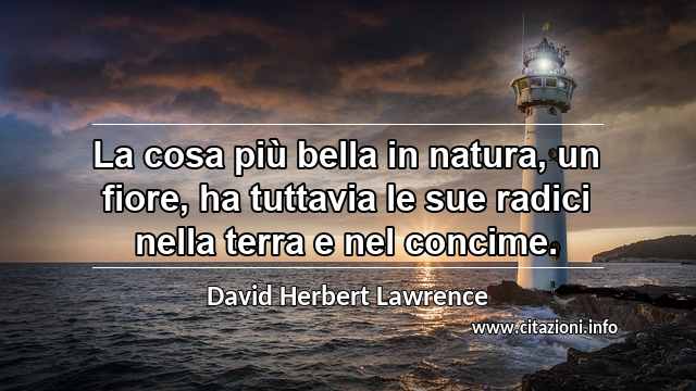“La cosa più bella in natura, un fiore, ha tuttavia le sue radici nella terra e nel concime.”