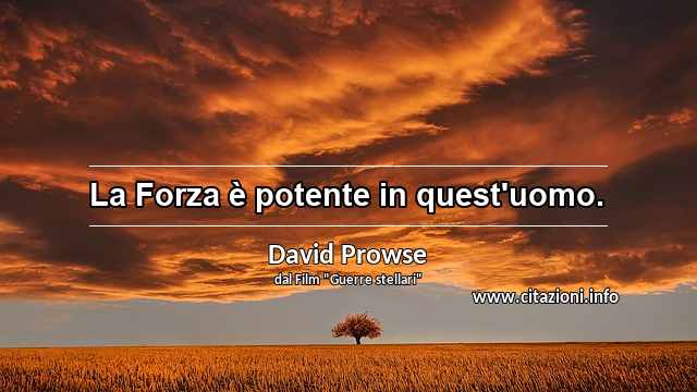 “La Forza è potente in quest'uomo.”