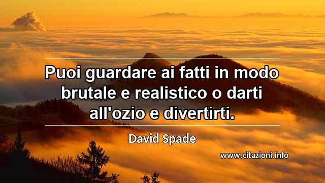 “Puoi guardare ai fatti in modo brutale e realistico o darti all'ozio e divertirti.”