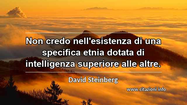 “Non credo nell'esistenza di una specifica etnia dotata di intelligenza superiore alle altre.”