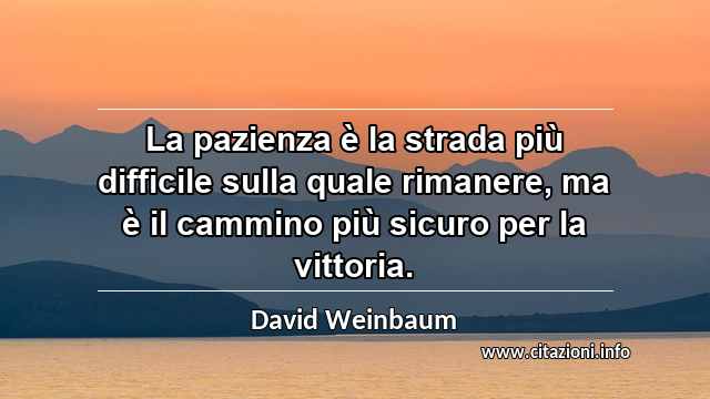 “La pazienza è la strada più difficile sulla quale rimanere, ma è il cammino più sicuro per la vittoria.”