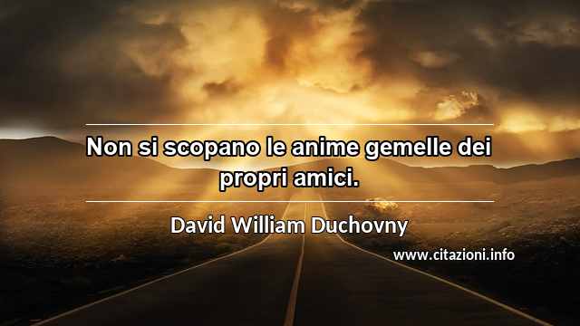 “Non si scopano le anime gemelle dei propri amici.”