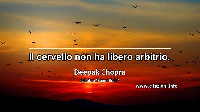 “Il cervello non ha libero arbitrio.”