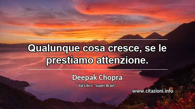 “Qualunque cosa cresce, se le prestiamo attenzione.”