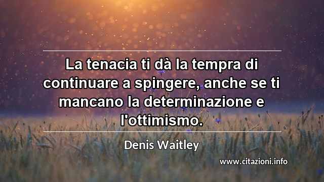 “La tenacia ti dà la tempra di continuare a spingere, anche se ti mancano la determinazione e l'ottimismo.”