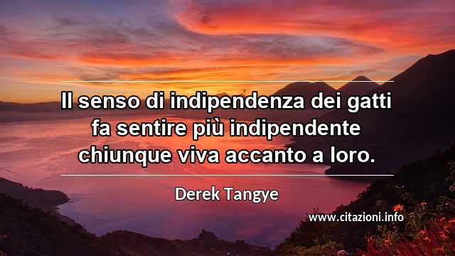 “Il senso di indipendenza dei gatti fa sentire più indipendente chiunque viva accanto a loro.”