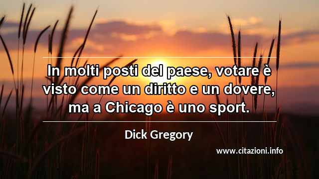 “In molti posti del paese, votare è visto come un diritto e un dovere, ma a Chicago è uno sport.”