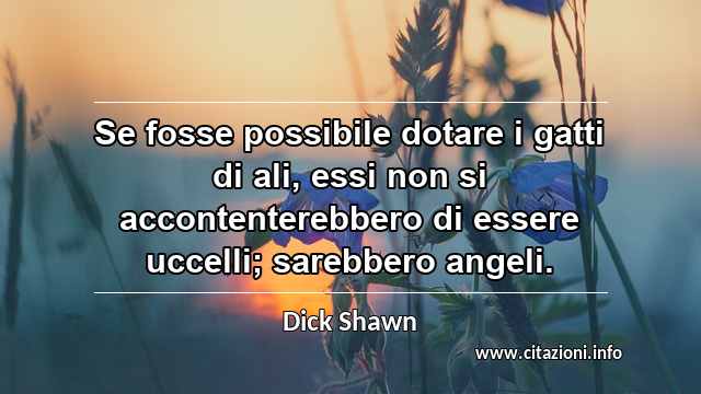 “Se fosse possibile dotare i gatti di ali, essi non si accontenterebbero di essere uccelli; sarebbero angeli.”