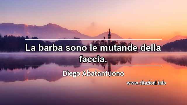 “La barba sono le mutande della faccia.”