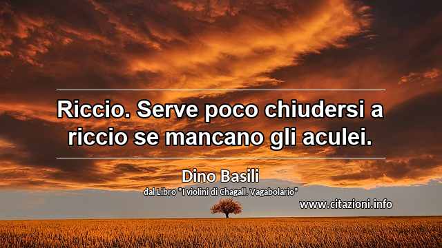 “Riccio. Serve poco chiudersi a riccio se mancano gli aculei.”