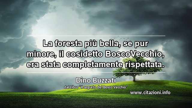 “La foresta più bella, se pur minore, il cosidetto BoscoVecchio, era stata completamente rispettata.”