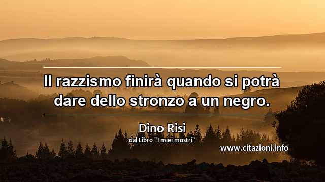 “Il razzismo finirà quando si potrà dare dello stronzo a un negro.”