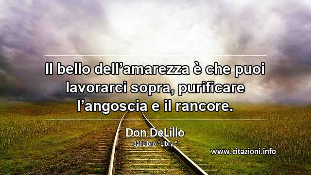 “Il bello dell’amarezza è che puoi lavorarci sopra, purificare l’angoscia e il rancore.”
