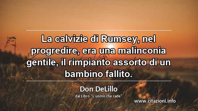 “La calvizie di Rumsey, nel progredire, era una malinconia gentile, il rimpianto assorto di un bambino fallito.”
