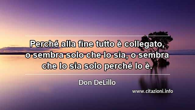 “Perché alla fine tutto è collegato, o sembra solo che lo sia, o sembra che lo sia solo perché lo è.”