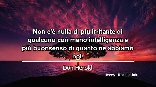 “Non c'è nulla di più irritante di qualcuno con meno intelligenza e più buonsenso di quanto ne abbiamo noi.”