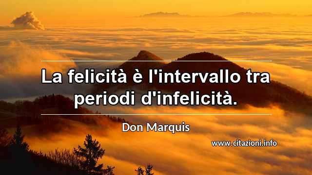 “La felicità è l'intervallo tra periodi d'infelicità.”