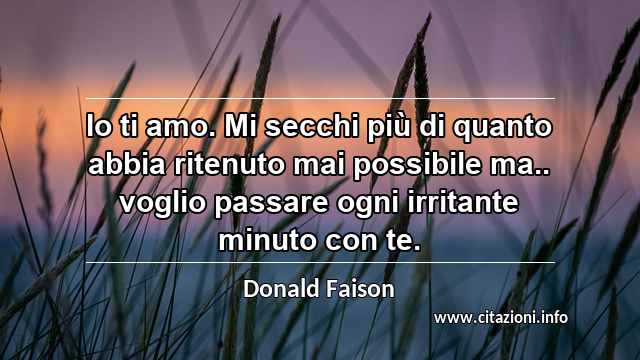 “Io ti amo. Mi secchi più di quanto abbia ritenuto mai possibile ma.. voglio passare ogni irritante minuto con te.”