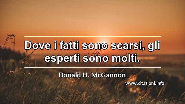 “Dove i fatti sono scarsi, gli esperti sono molti.”
