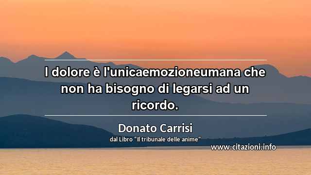 “l dolore è l'unicaemozioneumana che non ha bisogno di legarsi ad un ricordo.”