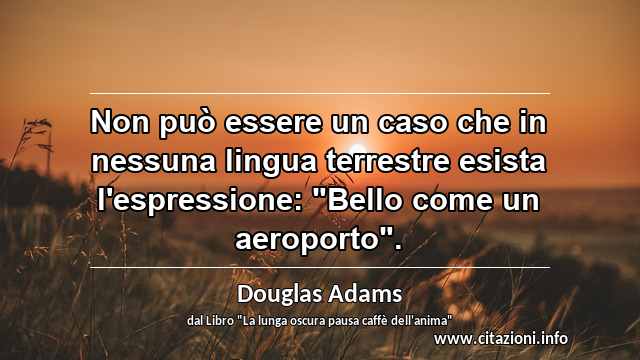 Non può essere un caso che in nessuna lingua terrestre esista l'espressione: "Bello come un aeroporto".