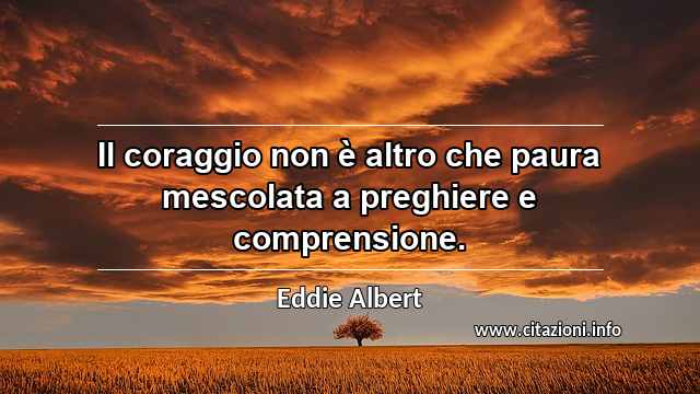 “Il coraggio non è altro che paura mescolata a preghiere e comprensione.”