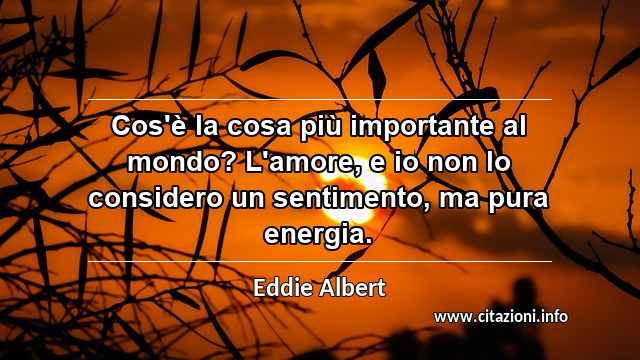 “Cos'è la cosa più importante al mondo? L'amore, e io non lo considero un sentimento, ma pura energia.”