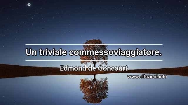 “Un triviale commessoviaggiatore.”
