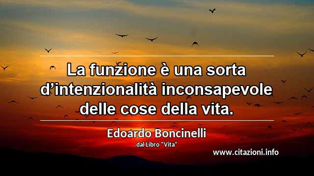 “La funzione è una sorta d’intenzionalità inconsapevole delle cose della vita.”