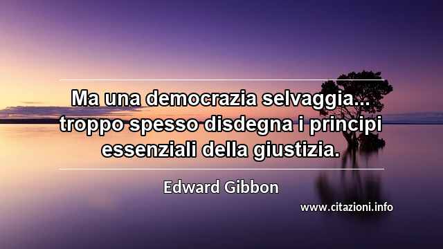“Ma una democrazia selvaggia... troppo spesso disdegna i principi essenziali della giustizia.”