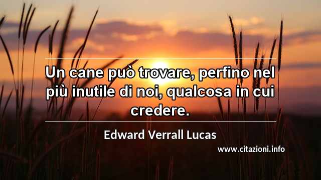 “Un cane può trovare, perfino nel più inutile di noi, qualcosa in cui credere.”