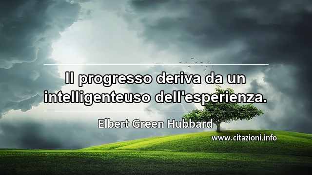 “Il progresso deriva da un intelligenteuso dell'esperienza.”