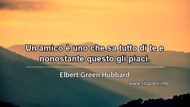 “Un amico è uno che sa tutto di te e nonostante questo gli piaci.”