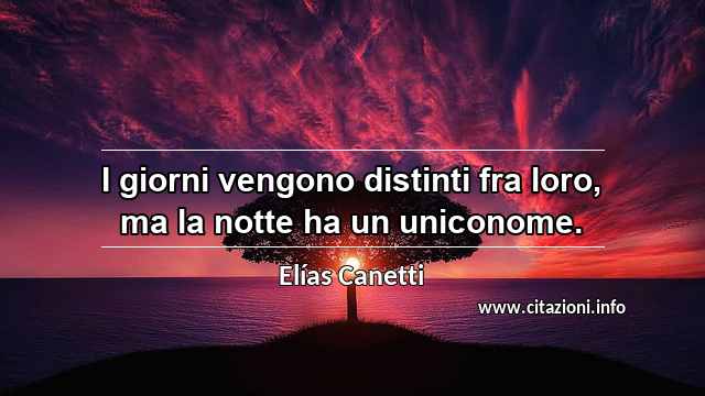 “I giorni vengono distinti fra loro, ma la notte ha un uniconome.”