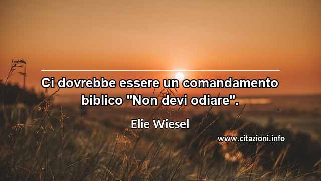 Ci dovrebbe essere un comandamento biblico "Non devi odiare".