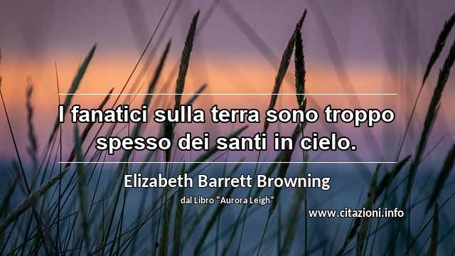 “I fanatici sulla terra sono troppo spesso dei santi in cielo.”