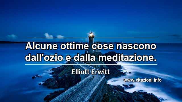 “Alcune ottime cose nascono dall'ozio e dalla meditazione.”